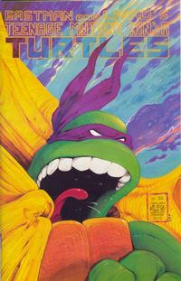 Teenage Mutant Ninja Turtles #22