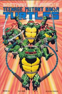 Teenage Mutant Ninja Turtles #24